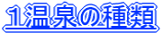 P̎
